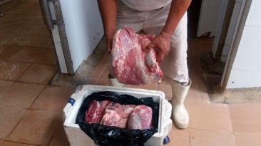 carne