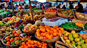 verduras