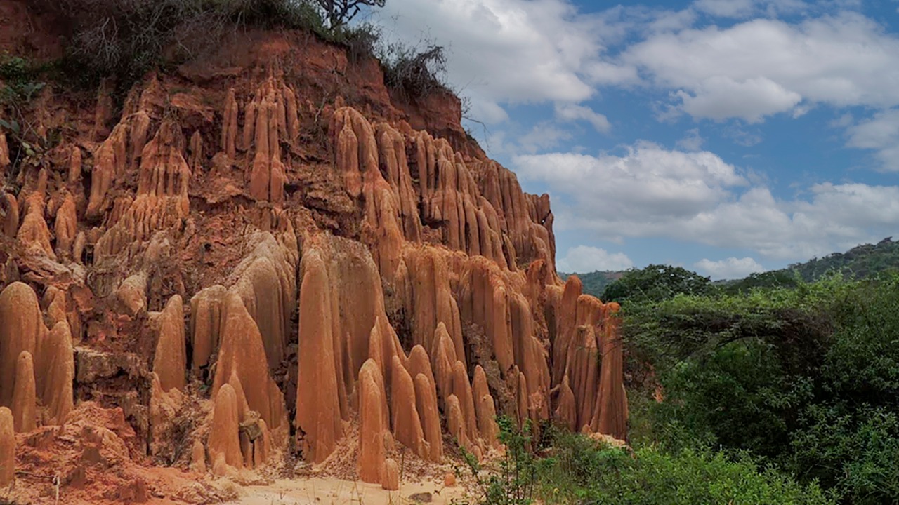 Cinco curiosidades del municipio de Los Patios