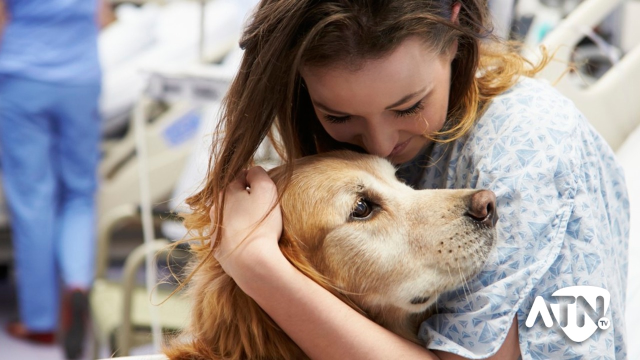 Como Debemos Cuidar A Los Animales Para Niños