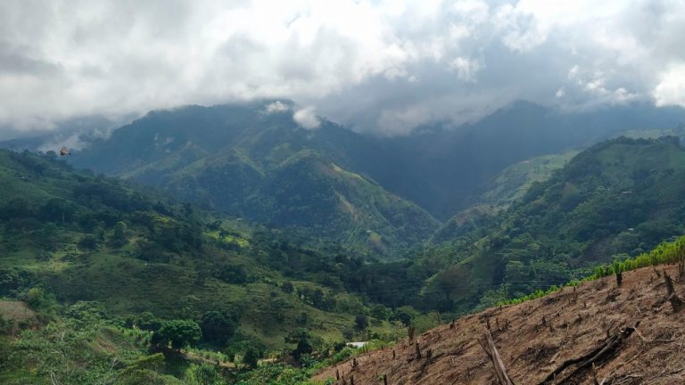 Catatumbo Sostenible avanza en los 8 municipios PDET