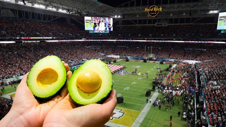 Aguacate hass colombiano estará en el ‘Super Bowl’